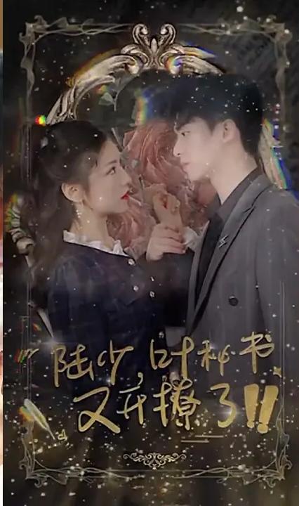 陆少,叶秘书又开撩了!